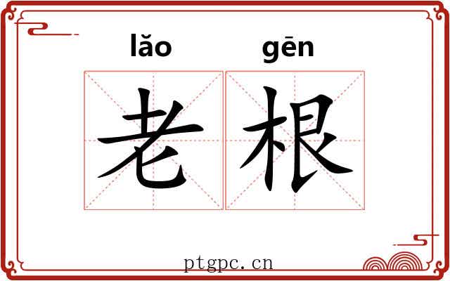 老根 老根