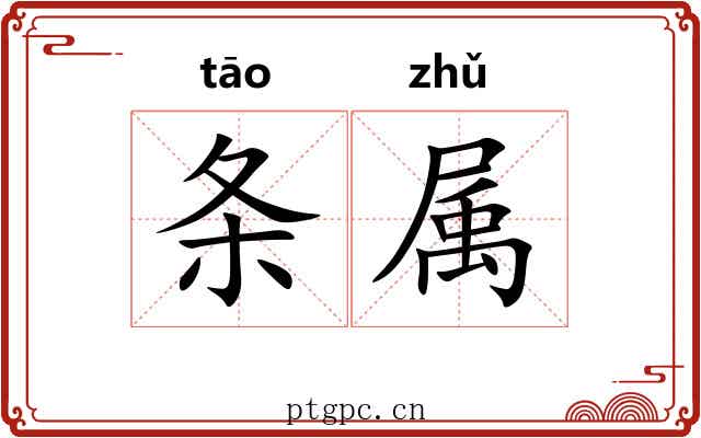 条属 条属