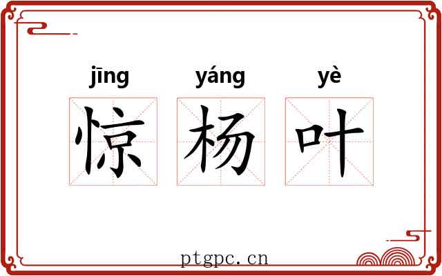 惊杨叶
