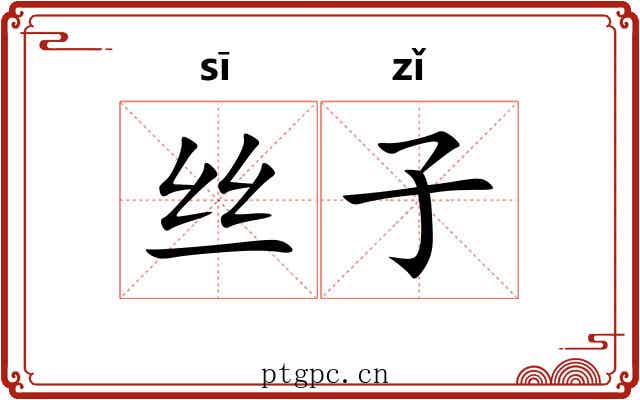 丝子 丝子