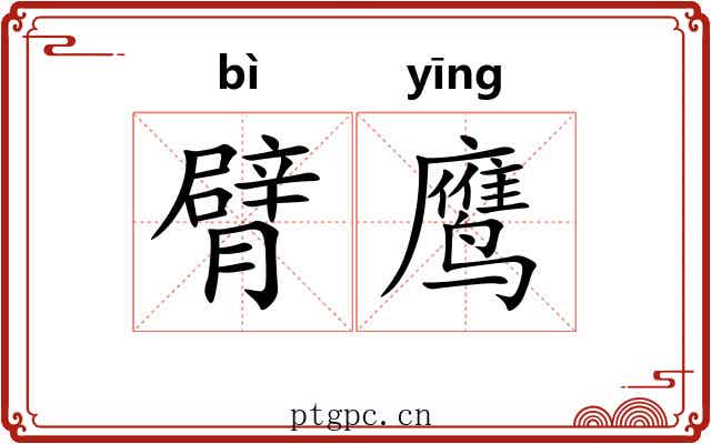 臂鹰