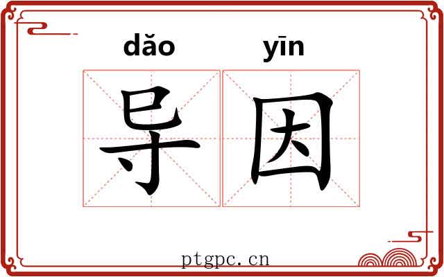 导因
