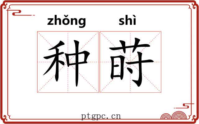 种莳 种莳