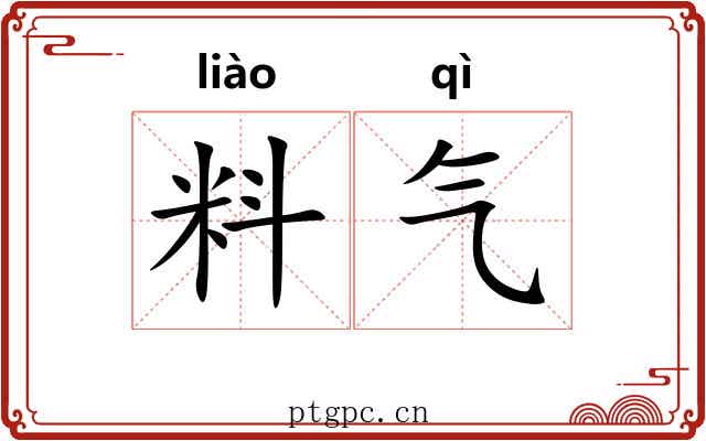 料气 料气