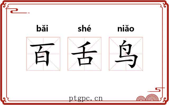 百舌鸟 百舌鸟