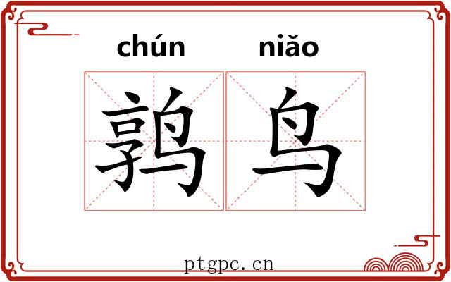 鹑鸟 鹑鸟