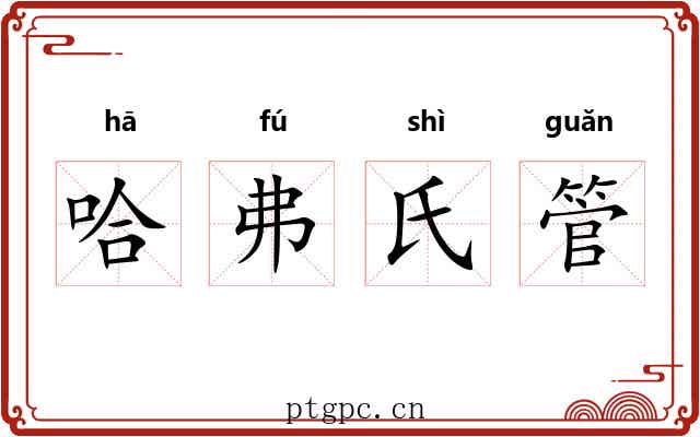 哈弗氏管 哈弗氏管
