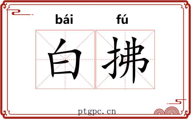 白拂
