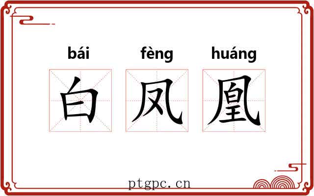 白凤凰 白凤凰