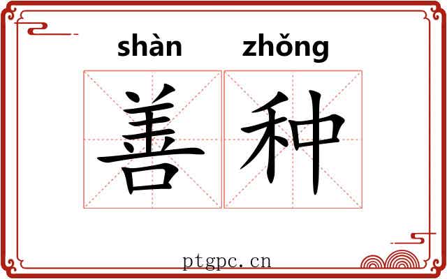 善种