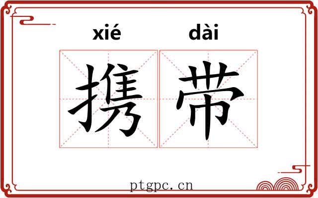 携带 携带