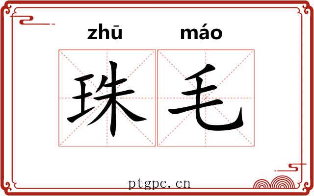 珠毛