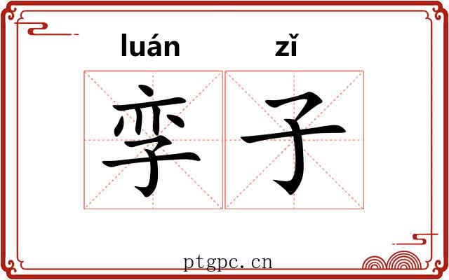 孪子 孪子
