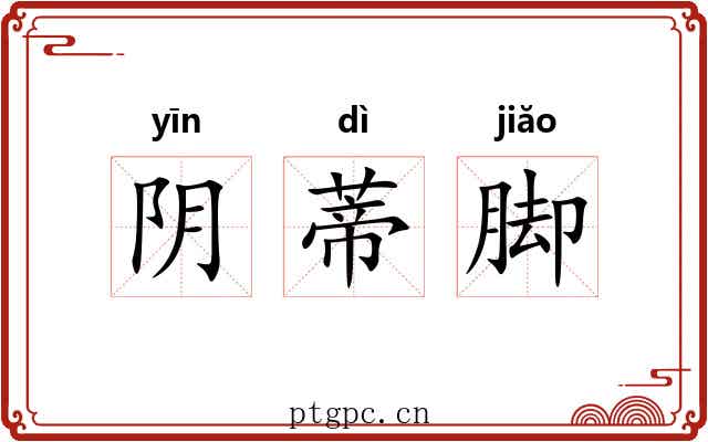 阴蒂脚 阴蒂脚