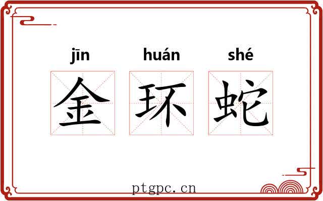金环蛇 金环蛇