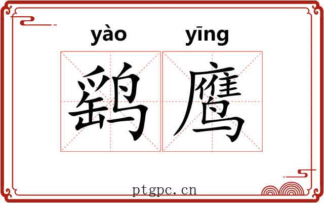 鹞鹰