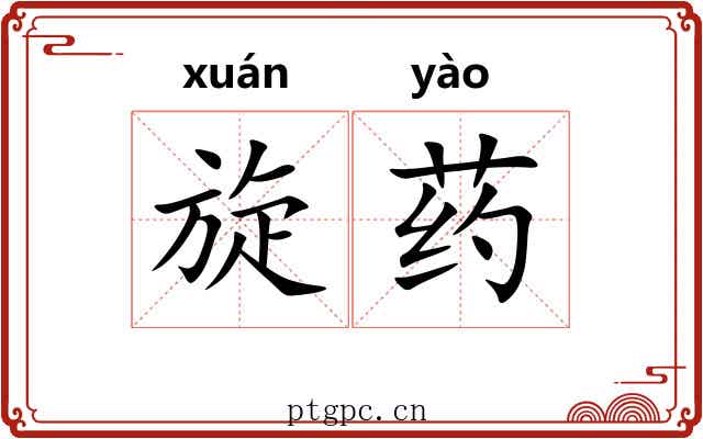 旋药 旋药