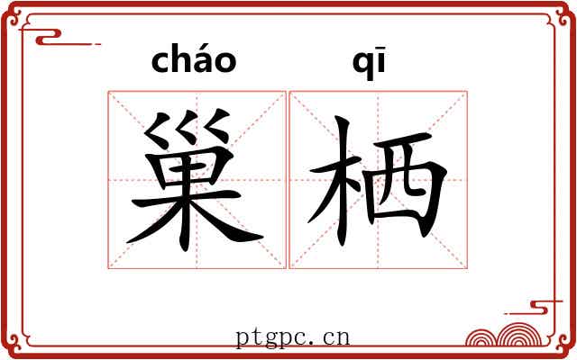 巢栖