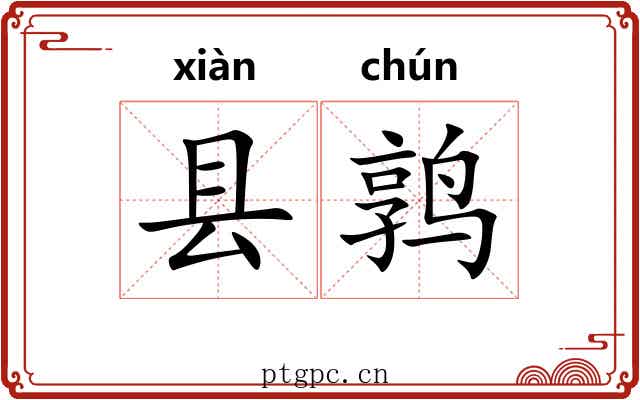 县鹑 县鹑
