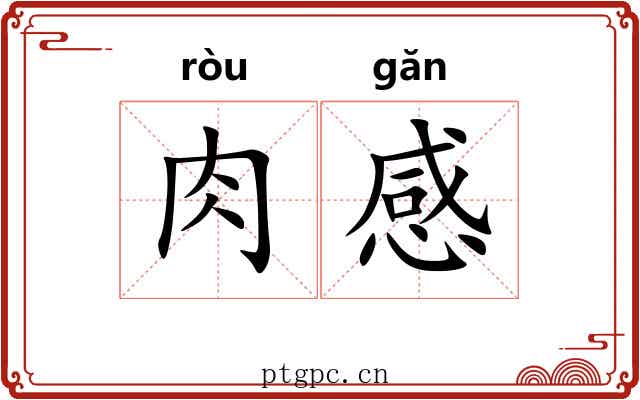 肉感 肉感