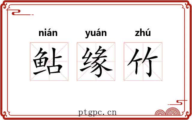 鲇缘竹 鲇缘竹
