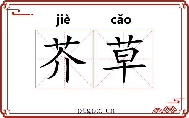 芥草 芥草
