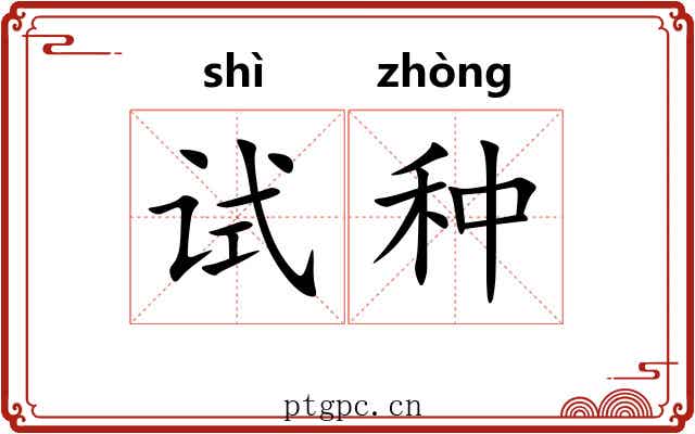 试种 试种