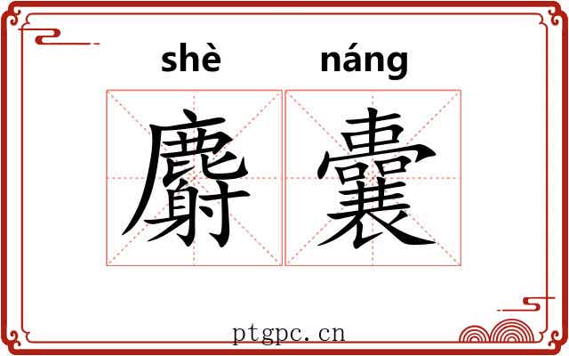 麝囊