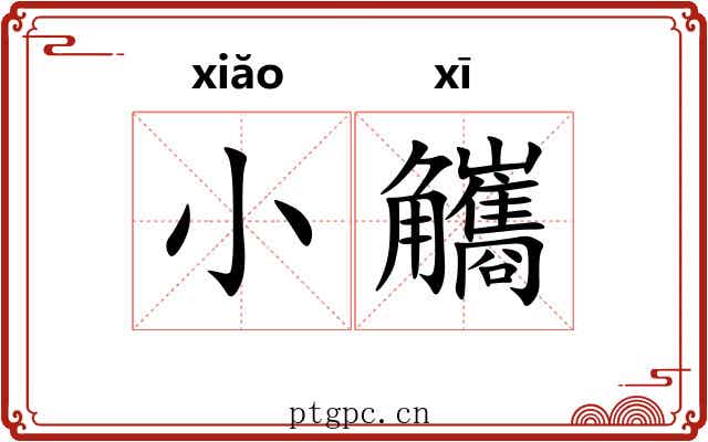 小觿