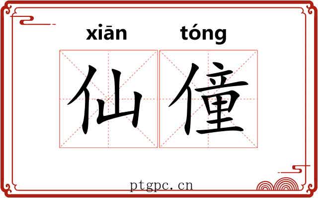 仙僮