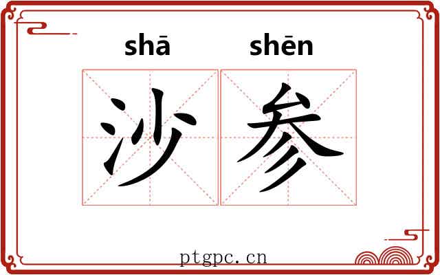 沙参 沙参