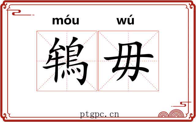 鴾毋