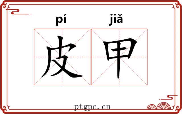 皮甲 皮甲