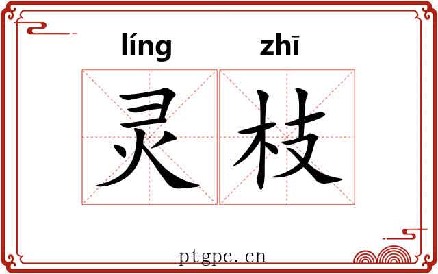 灵枝 灵枝