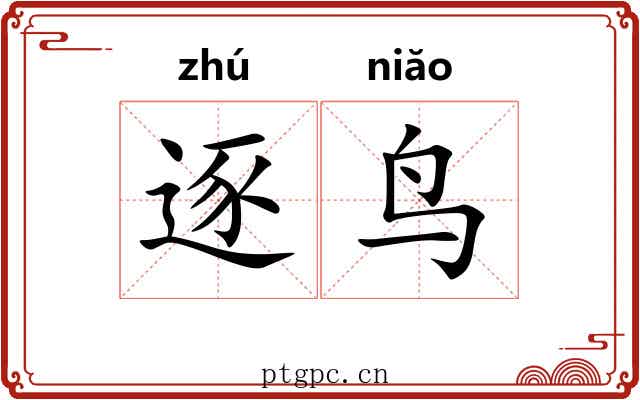 逐鸟 逐鸟