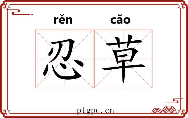 忍草 忍草
