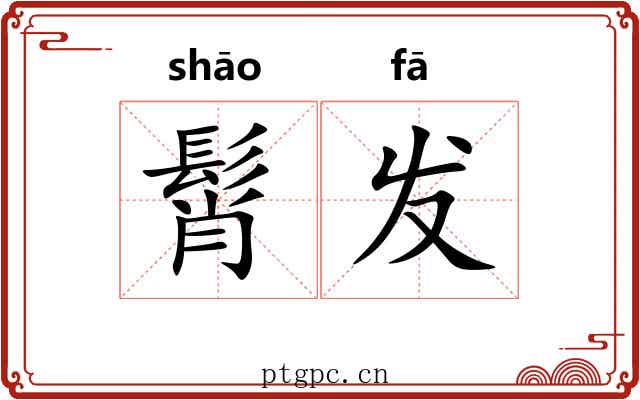 髾发 髾发
