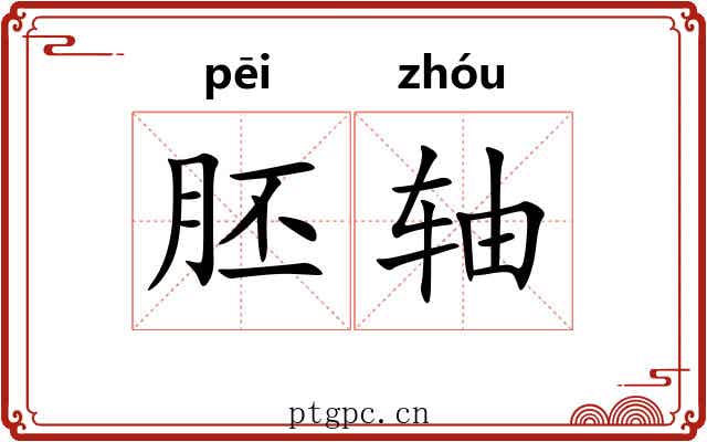 胚轴 胚轴