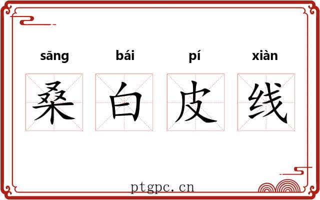 桑白皮线 桑白皮线