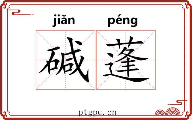 碱蓬