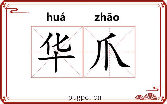 华爪 华爪