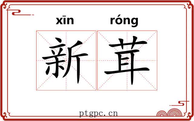 新茸 新茸