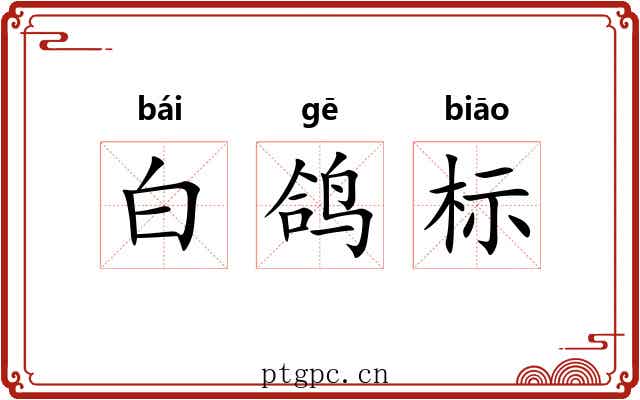 白鸽标 白鸽标