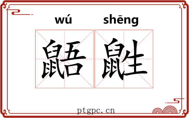 鼯鼪