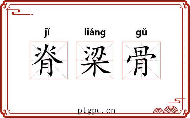 脊梁骨