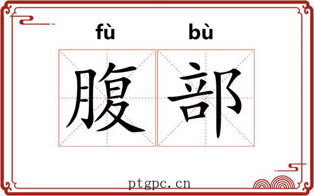 腹部 腹部
