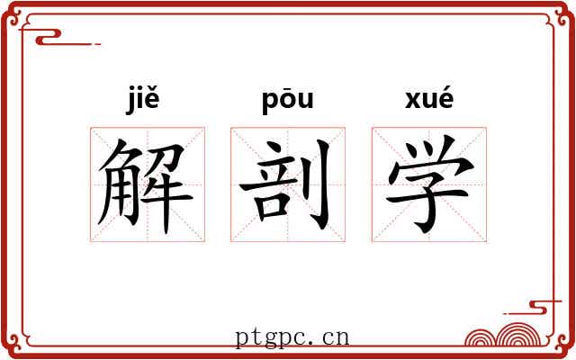 解剖学 解剖学