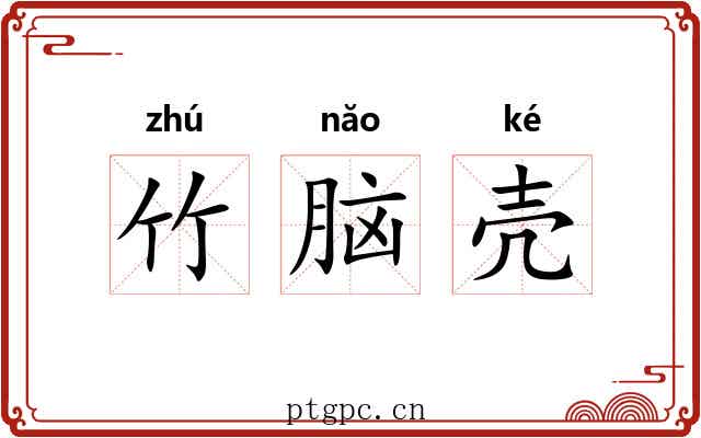 竹脑壳 竹脑壳
