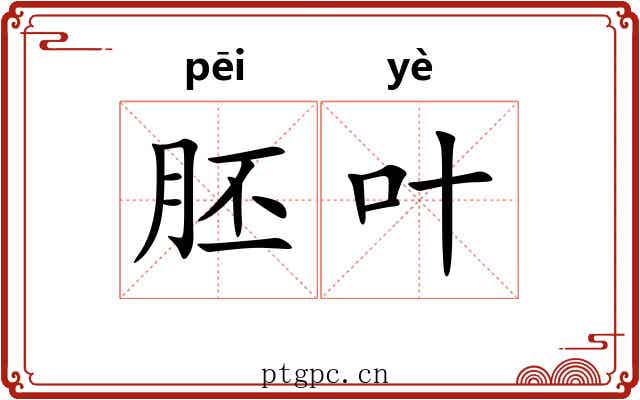 胚叶
