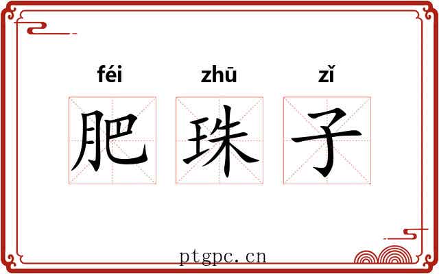 肥珠子